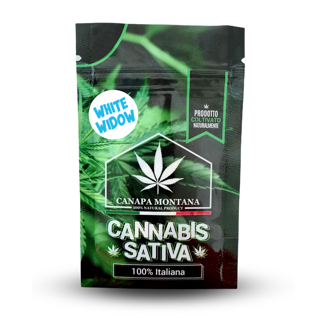 white widow cannabis legale di Canapa Montana
