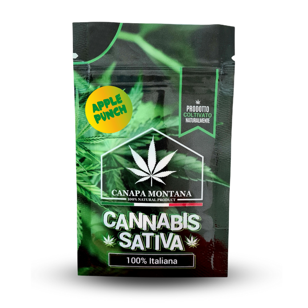cannabis legale apple punch indoor