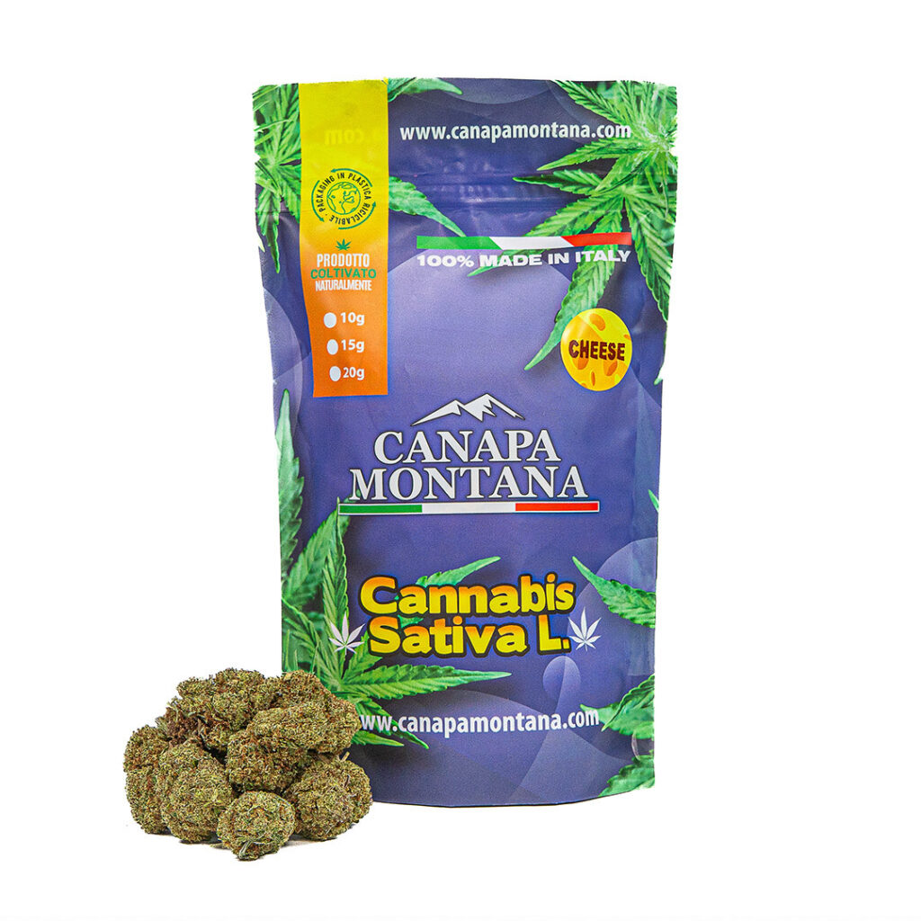 cannabis legale Cheese Greenhouse