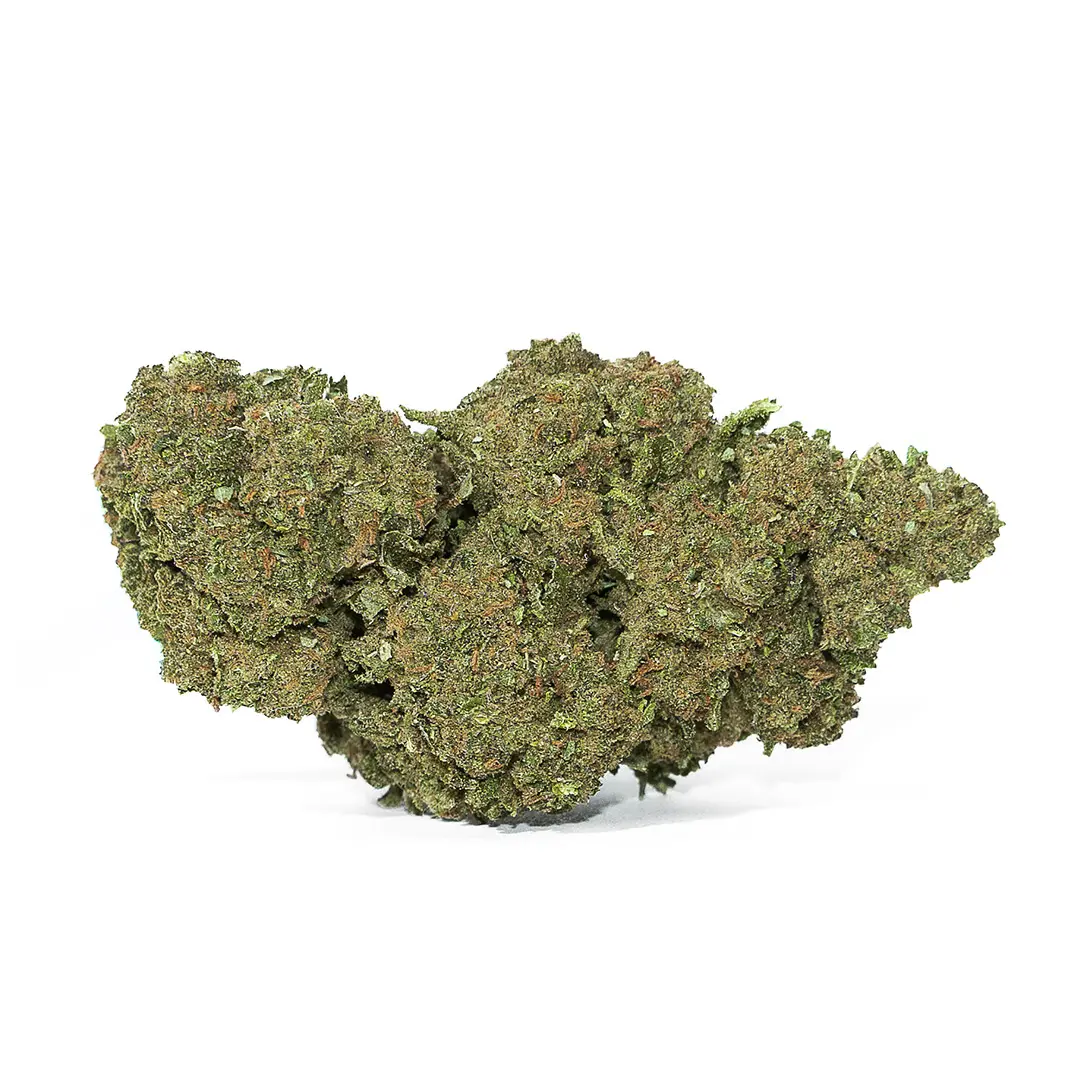 bz1-cbd-erba-legale-canapa-montana-weed-shop Bz1 CBD erba legale Canapa Montana weed shop