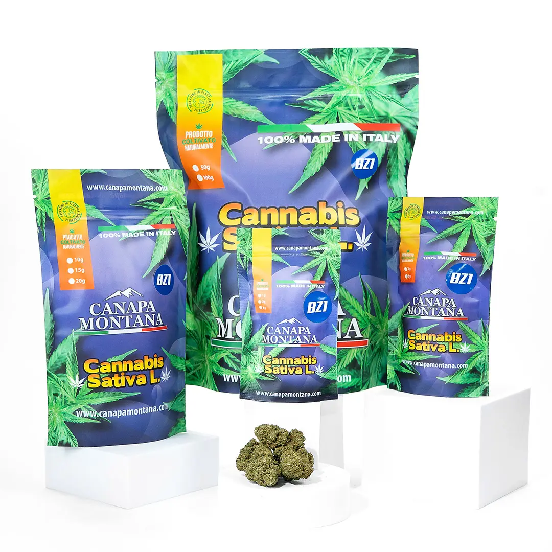 canapa-montana-erba-legale-bz1-weed-shop-scaled Canapa Montana erba legale Bz1 weed shop