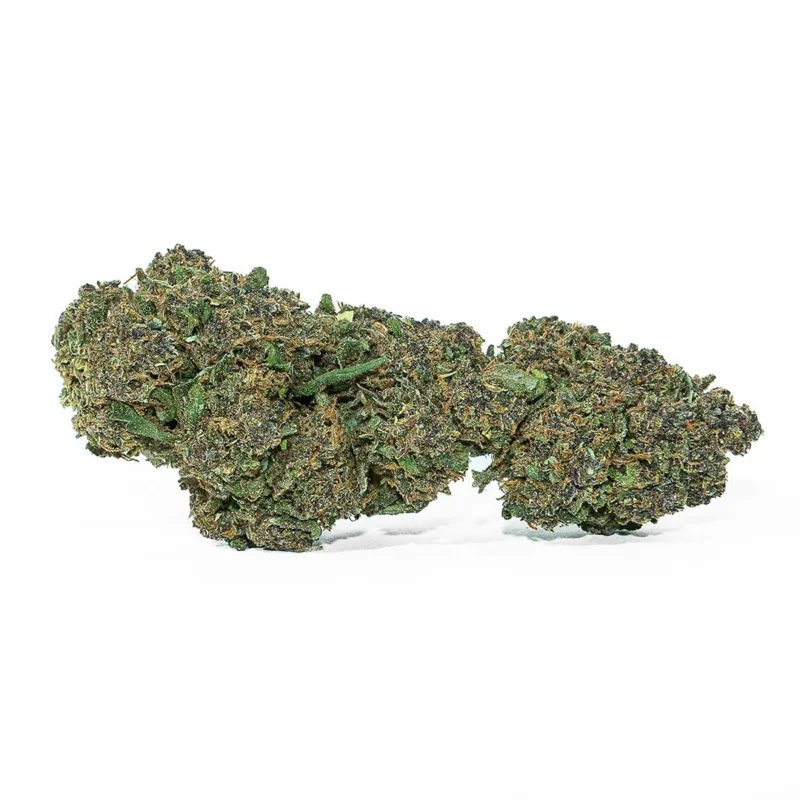 Purple Crack CBD erba legale light