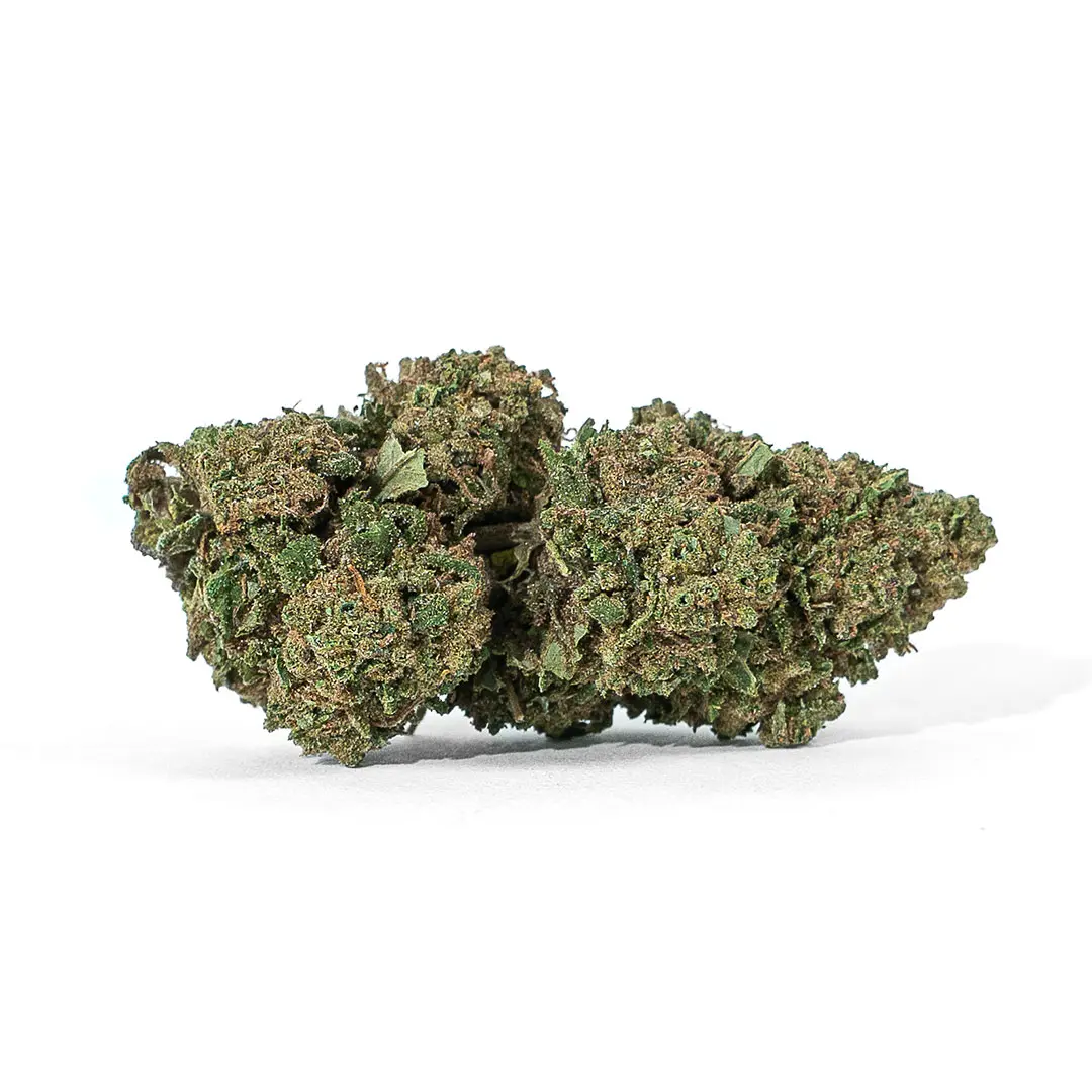 san-fernando-canapa-montana-cbd-legale-light San Fernando Canapa Montana CBD legale light