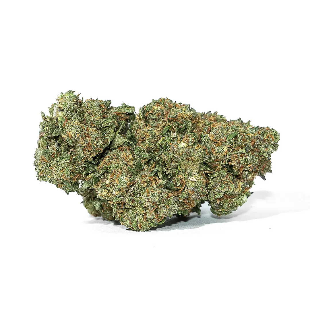 strawberry-haze-canapa-montana-cbd-legale-light Strawberry haze Canapa Montana CBD legale light
