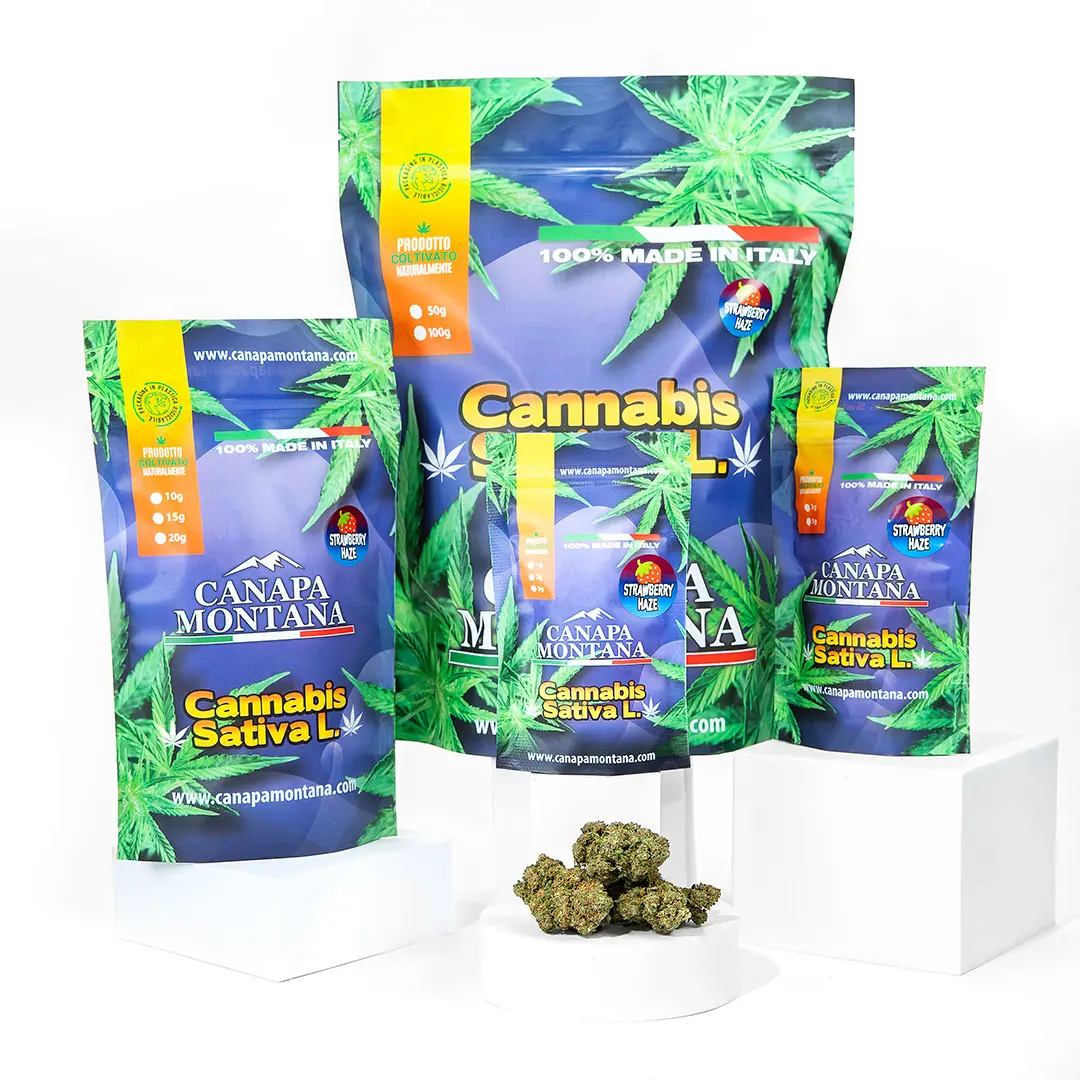 strawberry-haze-greenhouse-cbd-erba-legale-light Strawberry Haze Greenhouse CBD erba legale light