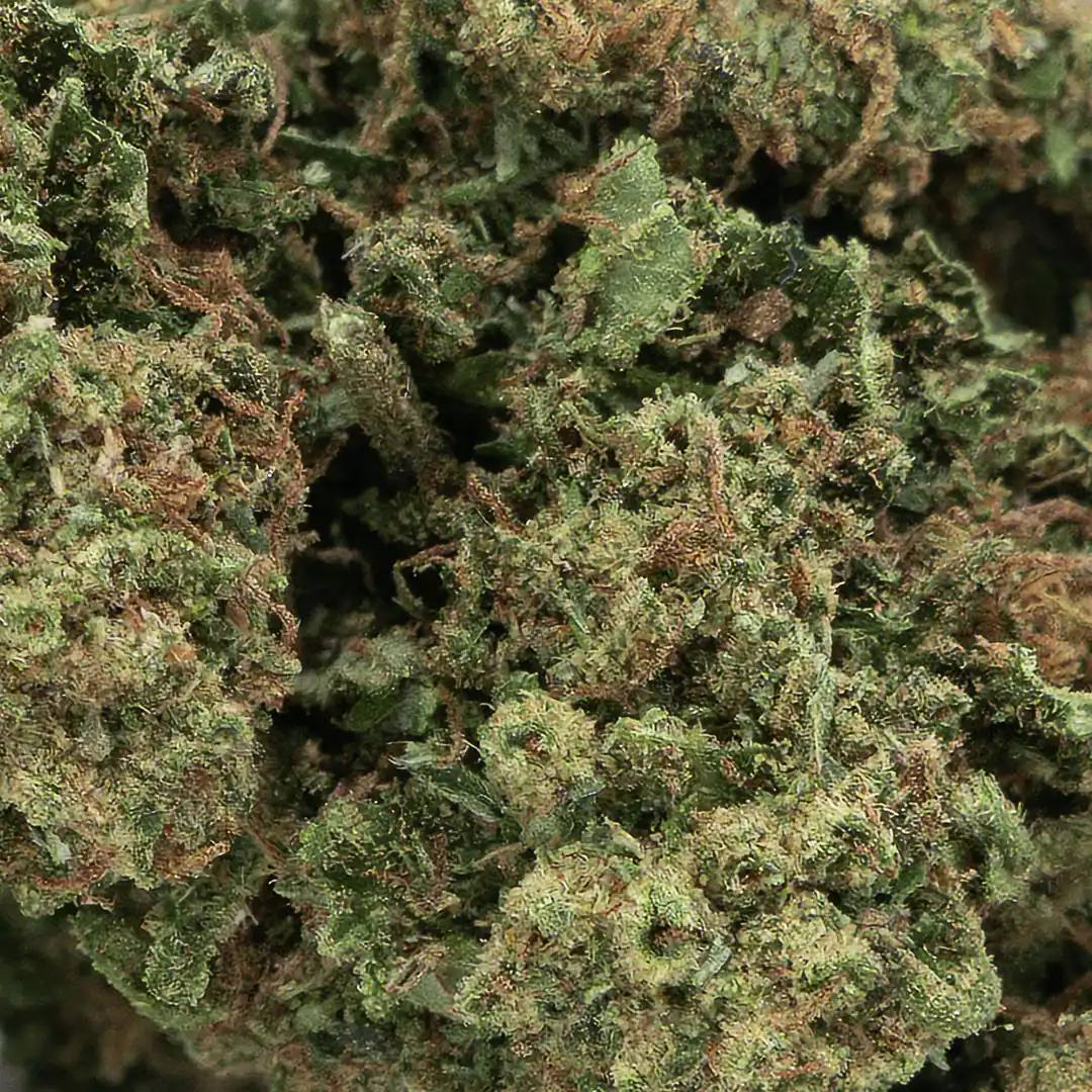 gelato-erba-legale-cbd gelato erba legale cbd