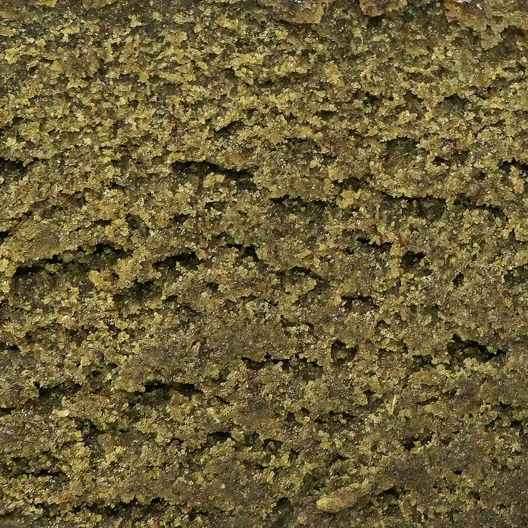 iceolator-cannabis-light-cbd Ice O Lator cannabis light cbd