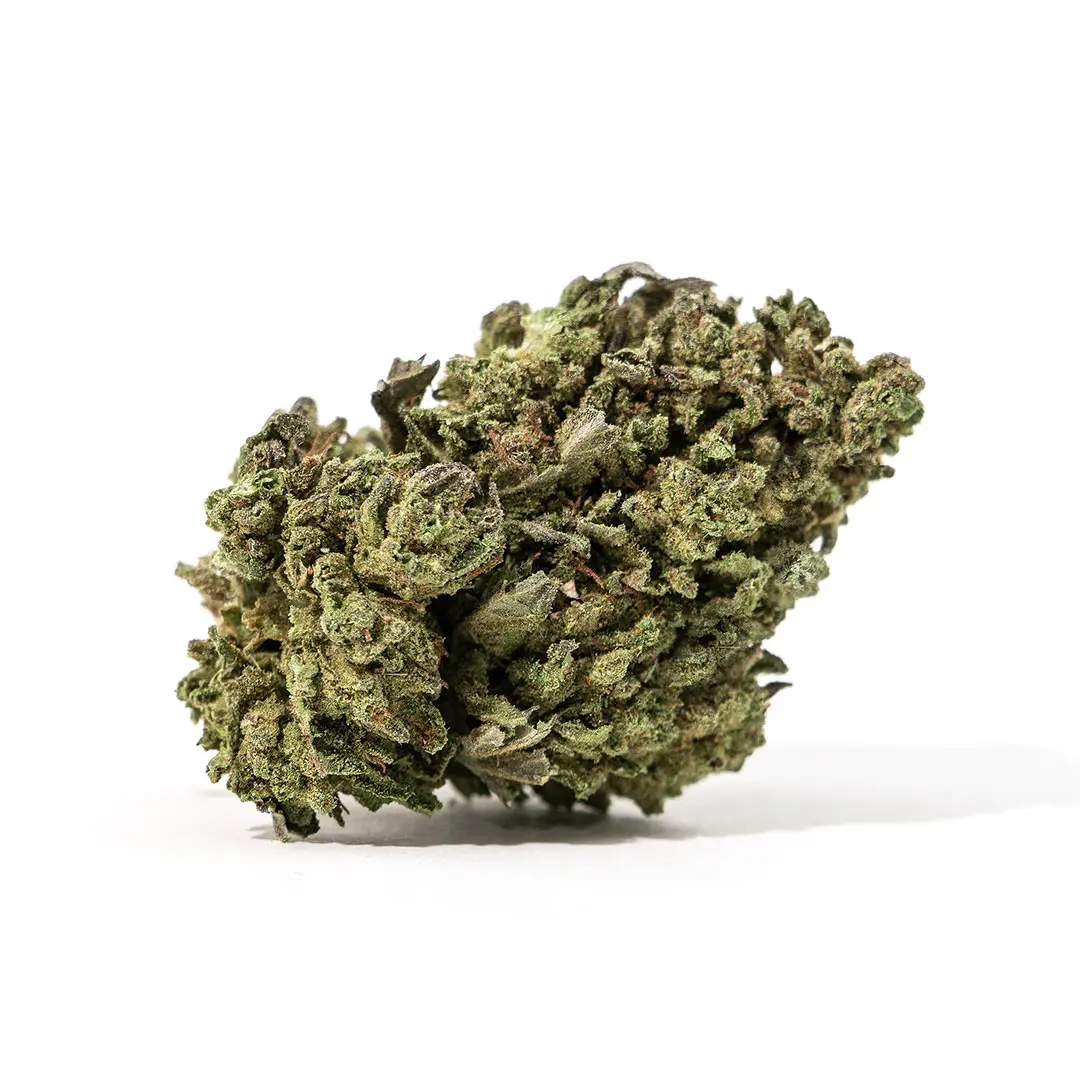 snow-bad-cannabis-light-cbd Snow Bad cannabis light cbd