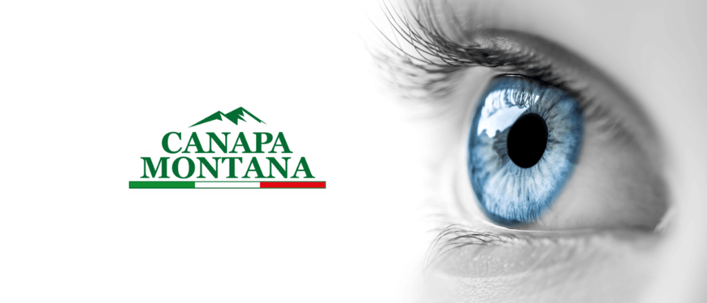 quali sono i benefici del CBD per gli occhi?