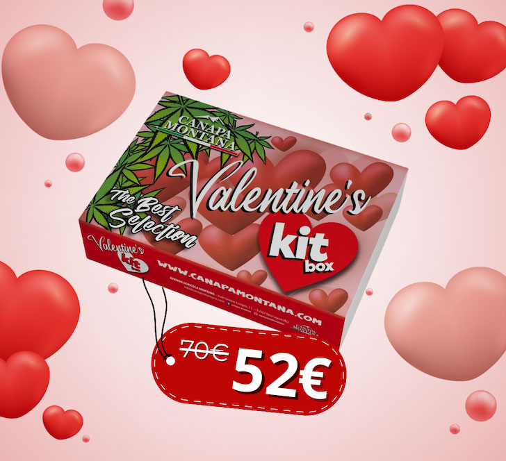 Nuova home Canapamontana