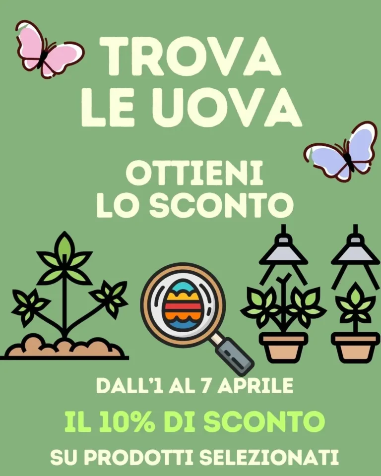 Nuova home Canapamontana