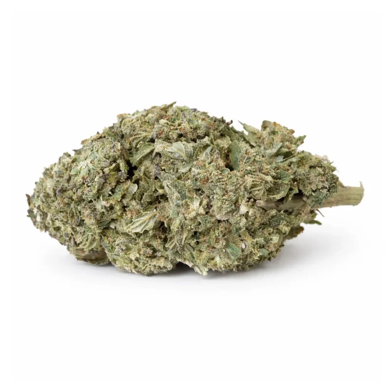 fiore cannabis legale OG Kush Greenhouse CBD