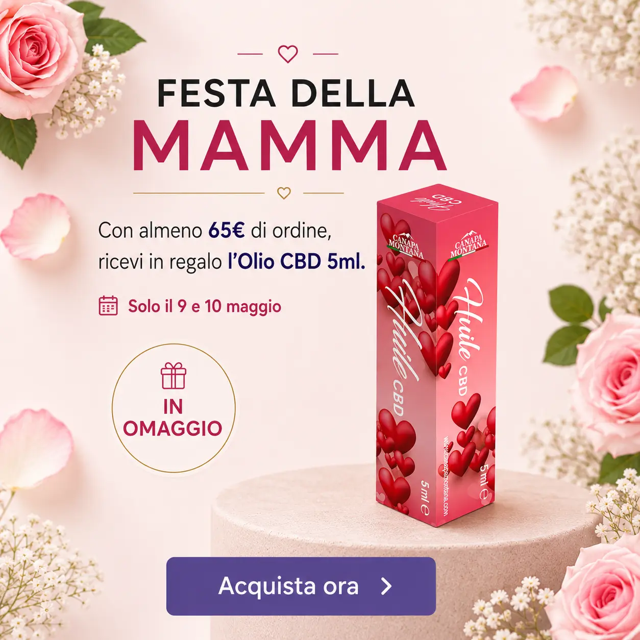 Nuova home Canapamontana